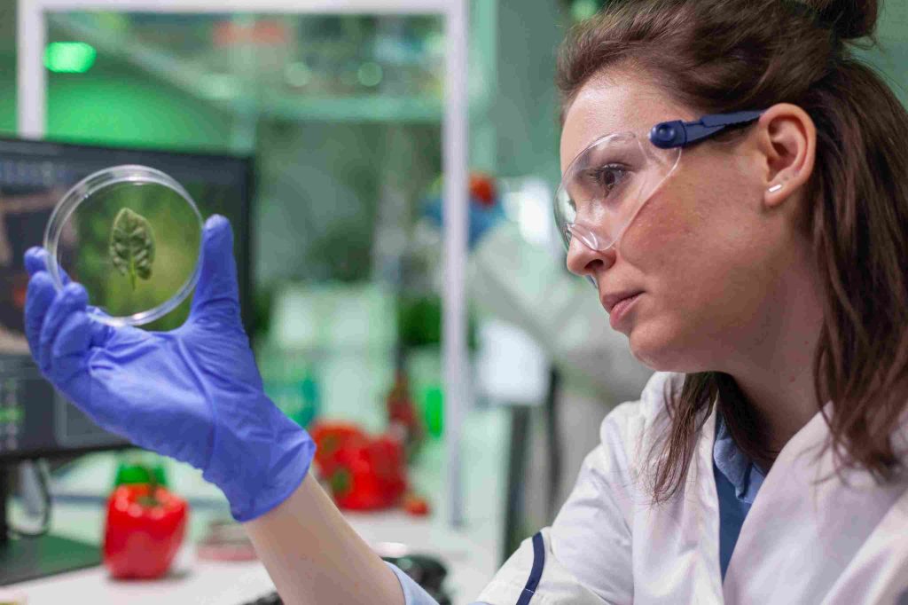 A female scientist wearing safety goggles and gloves examines a green leaf sample inside a petri dish in a modern laboratory, symbolizing investment challenges and opportunities in the biotechnology and pharmaceutical sector.